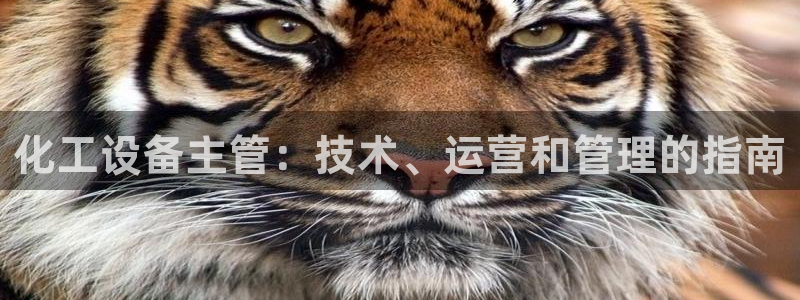 天辰平台注册地址怎么改