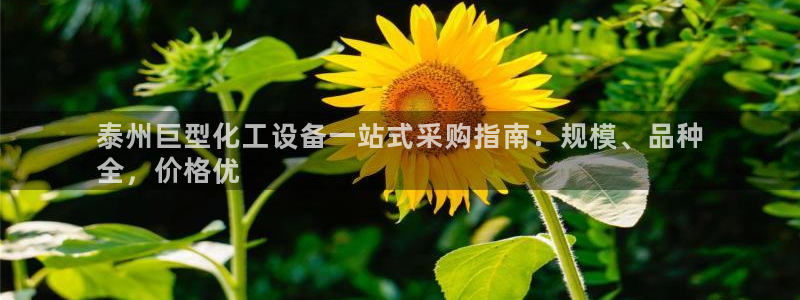 天辰平台注册登录地址在哪里看