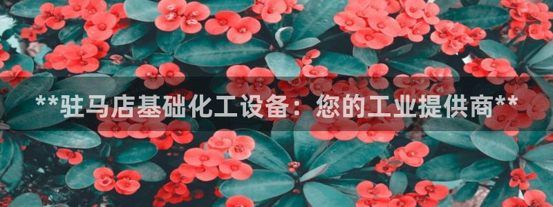 天辰会员是干什么的：**驻马店基础化工设备：您的工