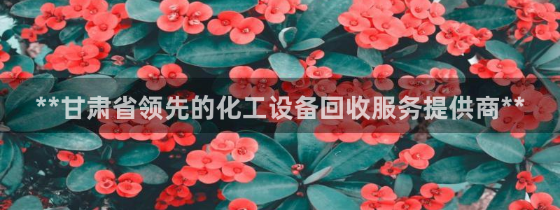 天辰用户注册流程：**甘肃省领先的化工设备回收服务