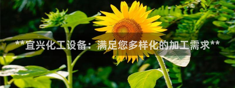 天辰平台注册登录地址怎么改不了：**宜兴化工设备：