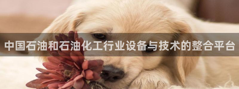 天辰测速希希游戏