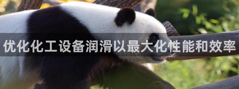 天辰平台会员有什么用