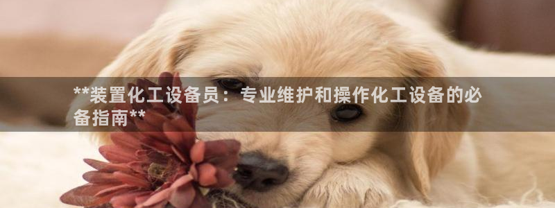 天辰平台用户注册流程