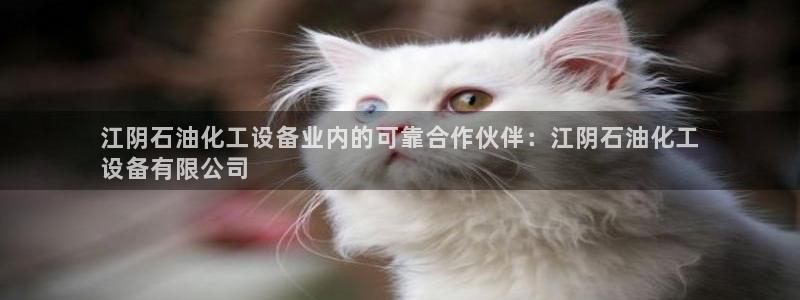 天辰平台用户登录失败