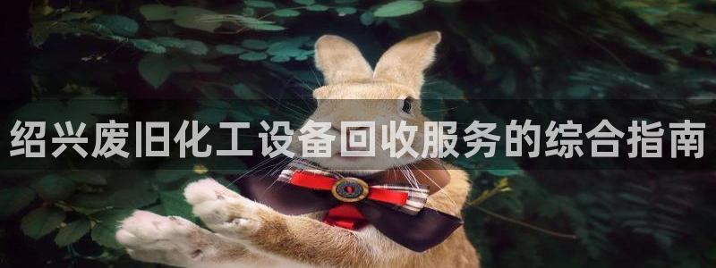 天辰平台用户登录不上