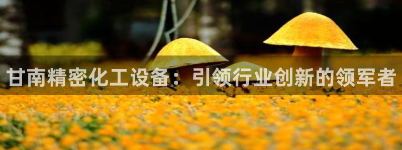 天辰平台登录地址在哪里看