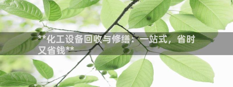 天辰平台专用通道安全稳定