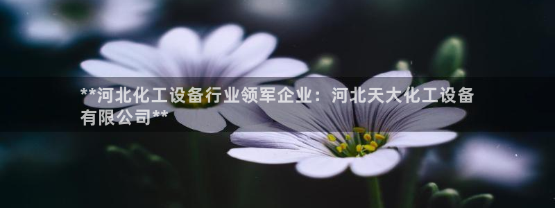 天辰娱乐平台代理是谁：**河北化工设备行业领军企业