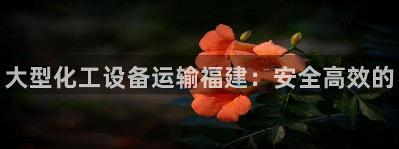 天辰平台李 37oo735