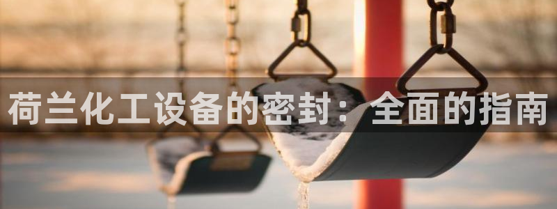 天辰娱乐都是干什么的作文：荷兰化工设备的密封：全面的指南