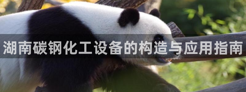 天辰平台给下级分红怎么派发的：湖南碳钢化工设备的构