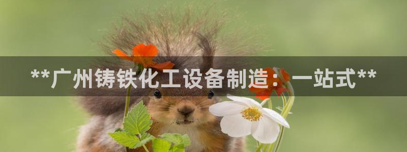 天辰平台会员值得买吗