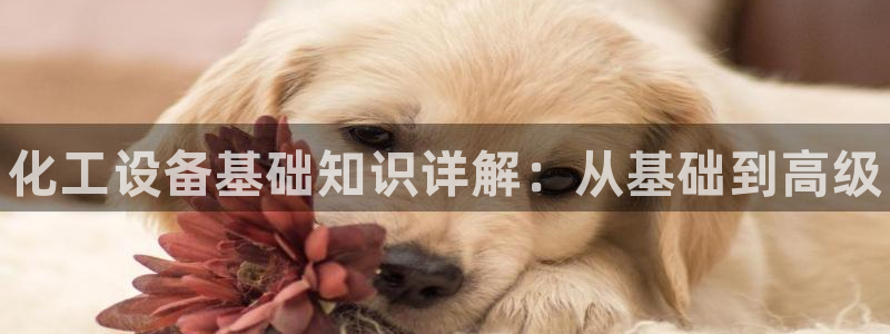 天辰平台取7O777