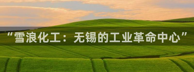 天辰平台解答 5o69I7：“雪浪化工：无锡的工业