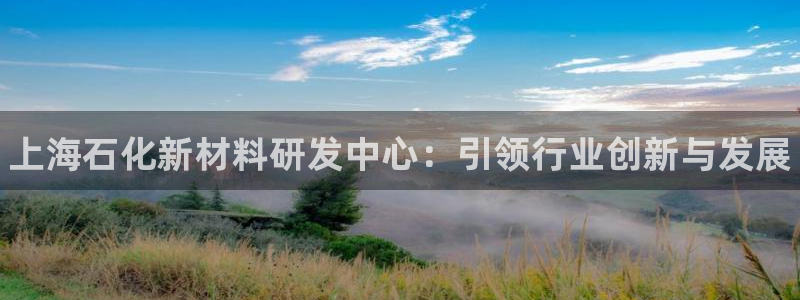 天辰平台注册登录地址：上海石化新材料研发中心：引领
