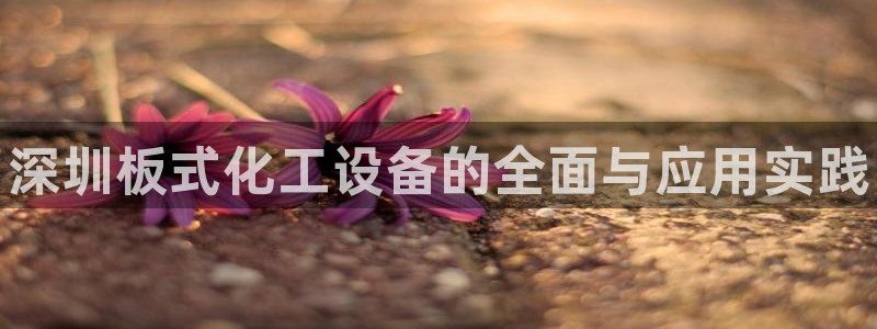 天辰平台房7O777：深圳板式化工设备的全面与应用